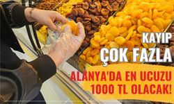 Kayıp çok fazla: Alanya'da en ucuzu 1000 TL olacak!