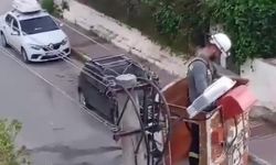 Antalya'da elektrik teline takılan kumru için operasyon