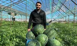 Antalya'da karpuzlar tezgaha çıktı: Peki fiyatı ne kadar?