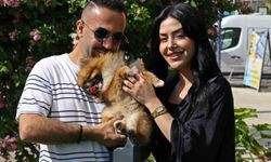 Antalya'da duygulandıran buluşma: Kaybolan köpeğine kavuştu