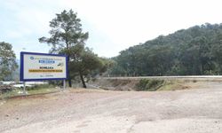 Antalya narenciye balı coğrafi tescil yolunda