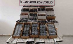 Antalya'da kaçak gözlük ticaretine büyük darbe