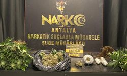 Antalya'da zehir tacirlerine operasyon