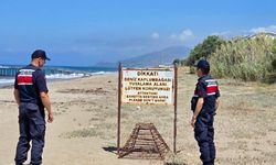 Alanya'da Carettalar koruma altında