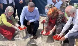 Antalya’da tarım ve gastronomi bir arada: FoodFest’te domates zamanı