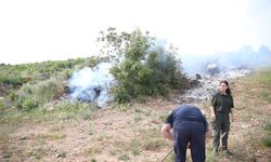 Alanya'da makilik alanda çıkan yangı söndürüldü