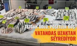 Alanya Balık Hali'nde tezgah dolu, poşetler boş! Vatandaş uzaktan seyrediyor
