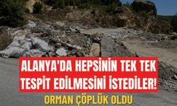 Alanya'da hepsinin tek tek tespit edilmesini istediler! Orman çöplük oldu