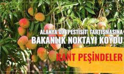 Alanya’da ‘pestisit’ tartışmasına bakanlık noktayı koydu: Rant peşindeler