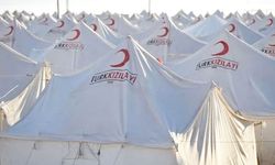 Kızılay'ın 2024 raporu