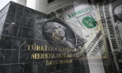 7 Hafta sonra Merkez Bankası tekrardan döviz alımına başladı