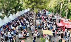 Antalya Büyükşehir'in festivallerine karşı çıktılar! Esnaf mağdur ediliyor