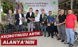 Tescili kaptık: Keçiboynuzu artık Alanya'nın