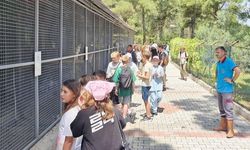 Alanyalı öğrenciler patili dostlara destekte bulundu