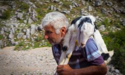 Gündoğmuş yayla yolunda yürek ısıtan görüntü