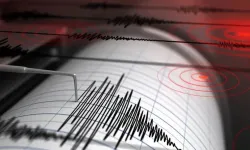 Bingöl'de deprem: Sarsıntı çevre illerden de hissedildi