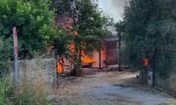 Antalya'da alevler yükseldi