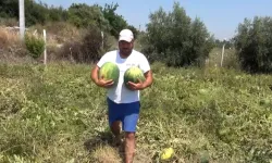 Antalya'da tonlarca karpuzu ücretsiz dağıttı