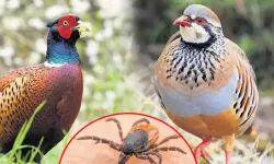Antalyalılar dikkat! Doğada bu hatayı sakın yapmayın
