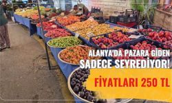 Alanya'da pazara giden sadece seyrediyor! Fiyatları 250 TL