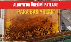 Alanya'da üretimi patladı: Para basıyorlar!
