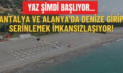 Antalya ve Alanya'da denize girip serinlemek imkansızlaşıyor!