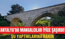 Antalya'da mangalcılar iyice şaşırdı! Şu yaptıklarına bakın