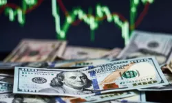 Altını da Doları da geride bıraktı: En çok o kazandırdı