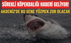 Sürekli köpekbalığı haberi geliyor! Akdeniz'de bu sene yüzmek zor olacak