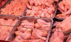 Raflardaki tavukları topluyorlar! Salmonella riski taşıyor
