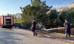 Alanya'da o bölgeden araçlar uzaklaştırıldı!