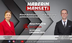 Haberin Manşeti'nde sokak hayvanları konuşulacak