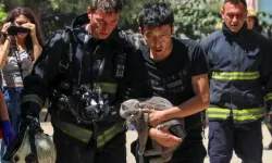 Antalya'da bina alev aldı... Kedisiyle birlikte kurtarılmayı bekledi
