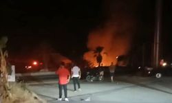 Gazipaşa'da orman yangını