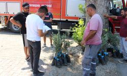 Antalya’nın dağ köylerine ekonomik can suyu