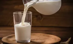 Bakanlıktan süt şirketlerine şok! 58 milyon ceza kesildi