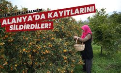 Alanya'da kayıtlarını sildirdiler: İlçede üretici kalmadı