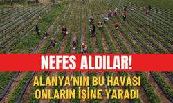 Alanya'nın bu havası onların işine yaradı