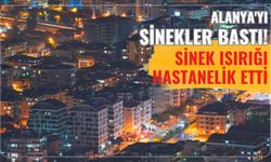 Alanya'yı sinekler bastı! Sinek ısırığı hastanelik etti