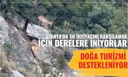 Alanya'da su ihtiyacını karşılamak için derelere iniyorlar: Doğa turizmi destekleniyor