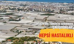 Antalya'dan Türkiye'ye sızdırmaya çalışıyorlar! Hepsi hastalıklı