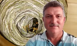 Ölümün böylesi: Hobisi sonunu getirdi