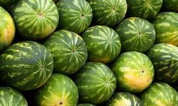 Karpuz yerken dikkat! Zehirleyebilir