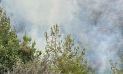 Alanya’da çıkan orman yangını kontrol altına alındı