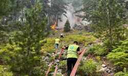 Alanya Ülkü Ocakları’nda Söğüt yangınına destek