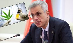 Kenevir kampanyasına başlandı: 15 hastalık için kullanılacak