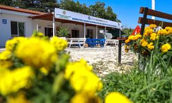 Antalya'da kadınların el emekleri Türkiye'ye yayılıyor