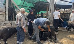 Antalya'da Yörükler'in asırlık geleneği devam ediyor