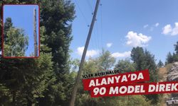 Alanya'da 90 model direk: Hali içler acısı