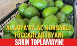 Alanya'da aç kursaklı tüccarlar isyanı: Sakın toplamayın!